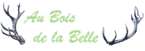 Au Bois de la Belle